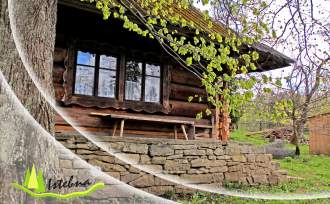 wiosna