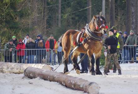 XX Zawody Furmanów