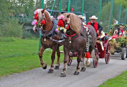 Dożynki 2016